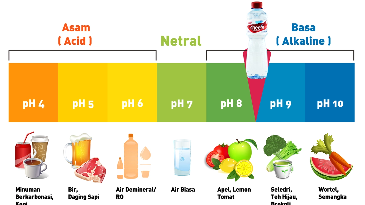 Diarrhea and the Alkaline Diet: The Impact of pH Balance on Gut Health