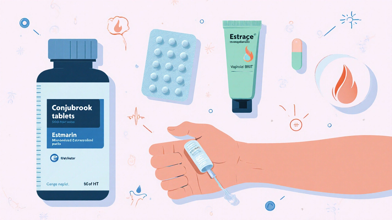Flat lay of various estrogen treatments: tablets, patch, cream tube, and capsules.